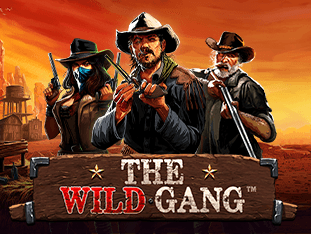 The Wild Gang game cover